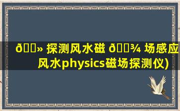 🌻 探测风水磁 🌾 场感应仪(风水physics磁场探测仪)